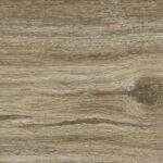 Wild Taupe