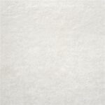 Mysore White